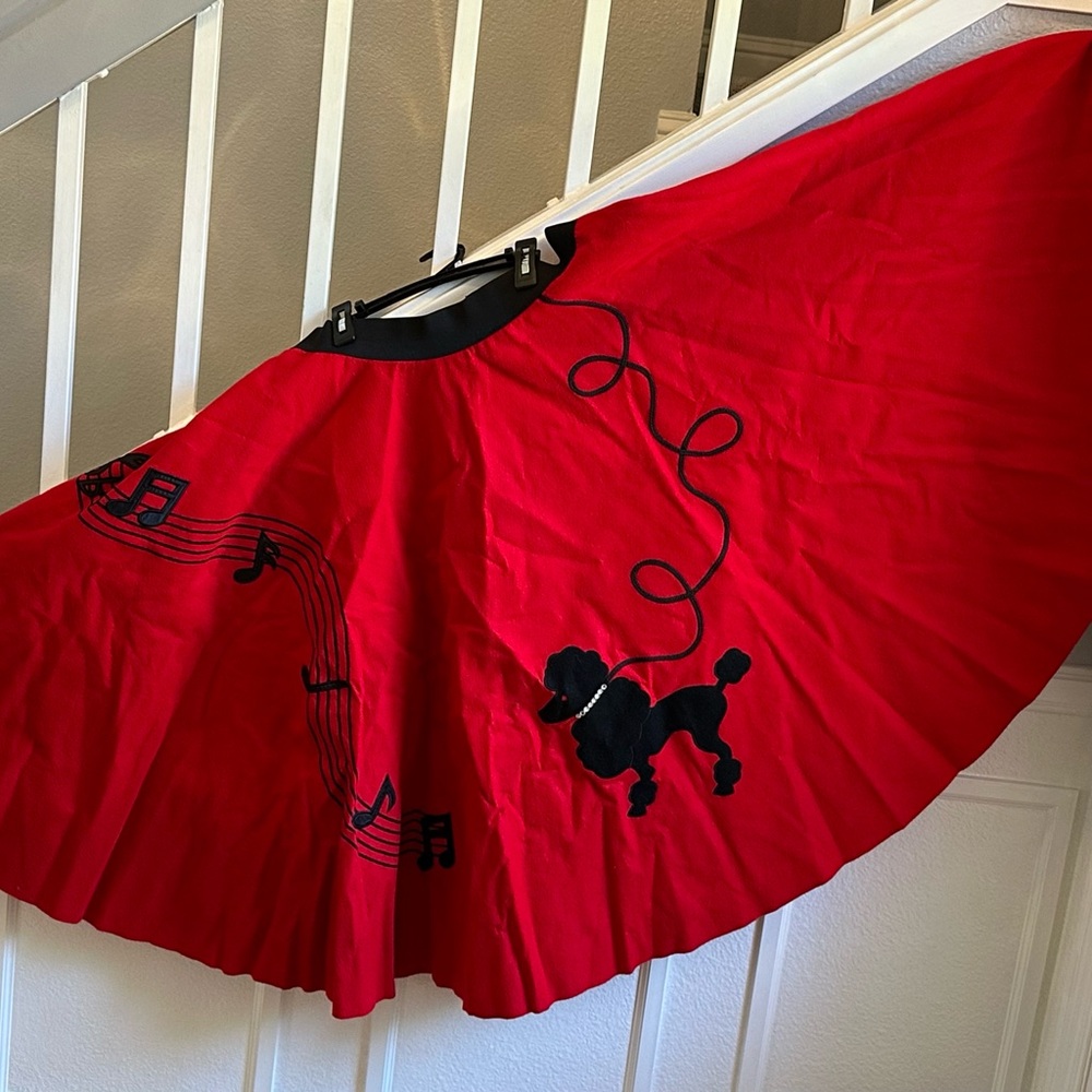 Poodle skirt and under skirt!